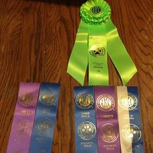 Meet your Posher, Terry